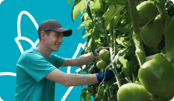 Парень собирает урожай